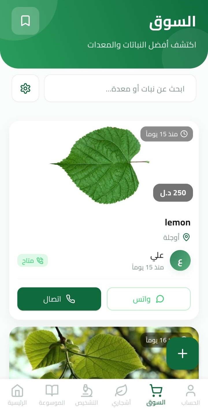 السوق الزراعي